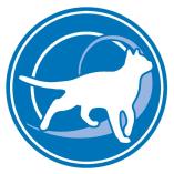 ROYAL CANIN INDOOR 7+ - lakásban tartott idősödő macska száraz táp