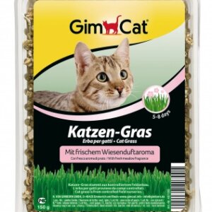 GimCat Macskafű dobozos 150 g
