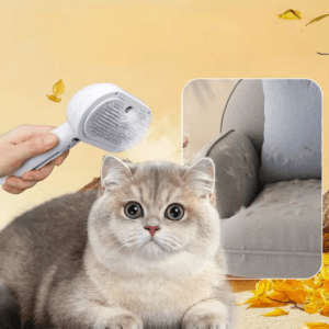 purrfect gőzkefe - kényeztető szőrápolás cicák számára