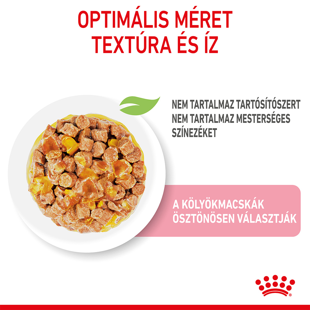 ROYAL CANIN KITTEN JELLY - kölyök macska zselés nedves táp