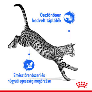 ROYAL CANIN INDOOR JELLY - zselés idősödő macska nedves táp, lakásban tartott 7 évnél idősebb macskák részére