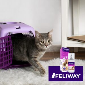 FELIWAY Classic Spray