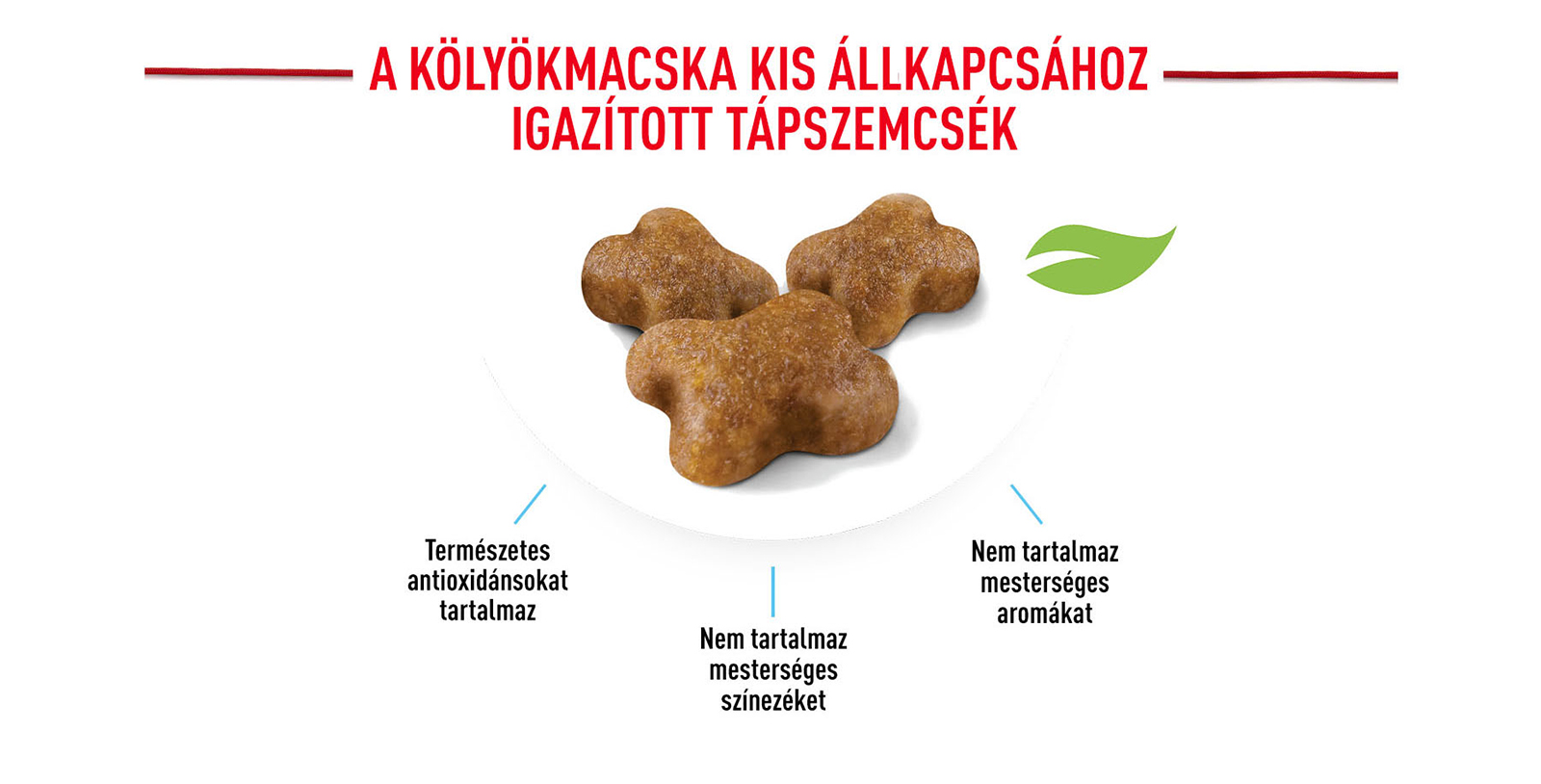 ROYAL CANIN KITTEN - kölyök macska száraz táp