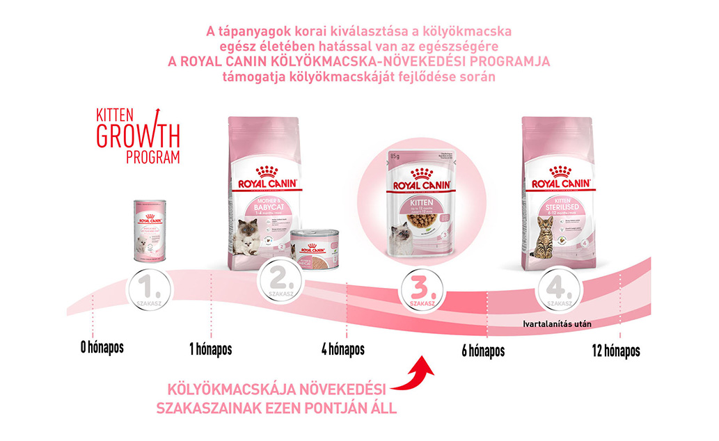 royal canin kitten gravy