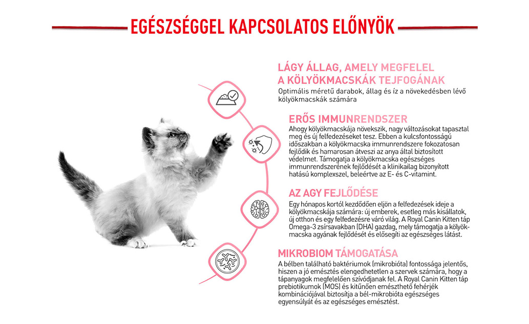 royal canin kitten gravy