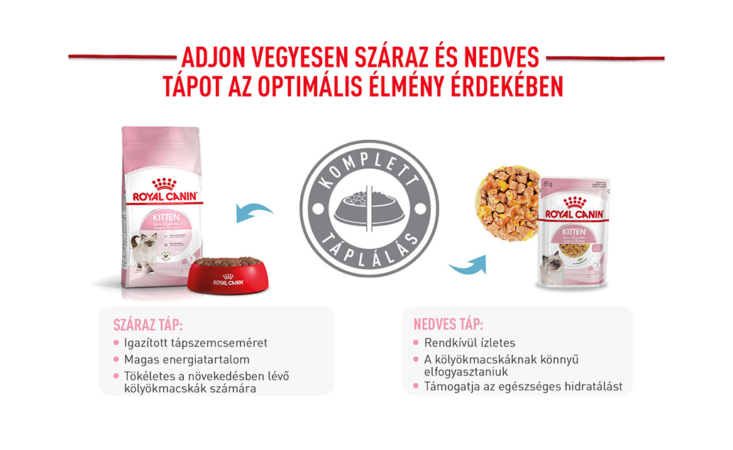 royal canin kitten jelly