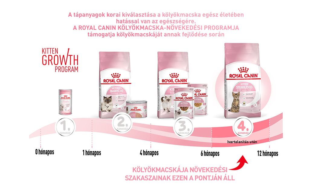 royal canin kitten sterilised
