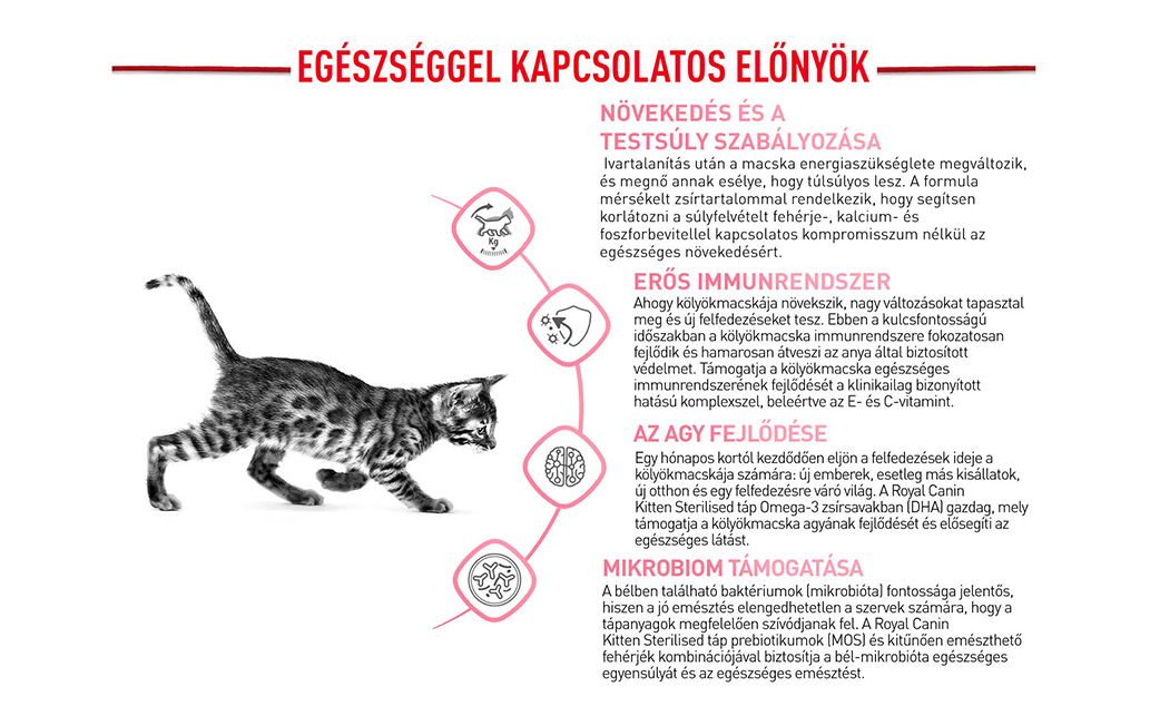 royal canin kitten sterilised
