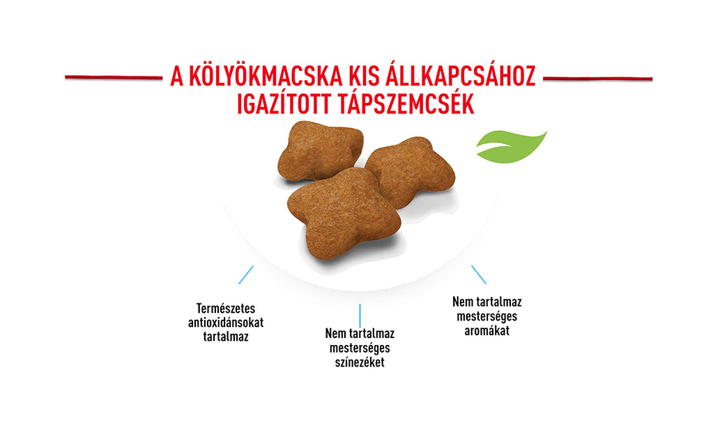 royal canin kitten sterilised
