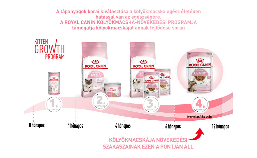 royal canin kitten sterilised