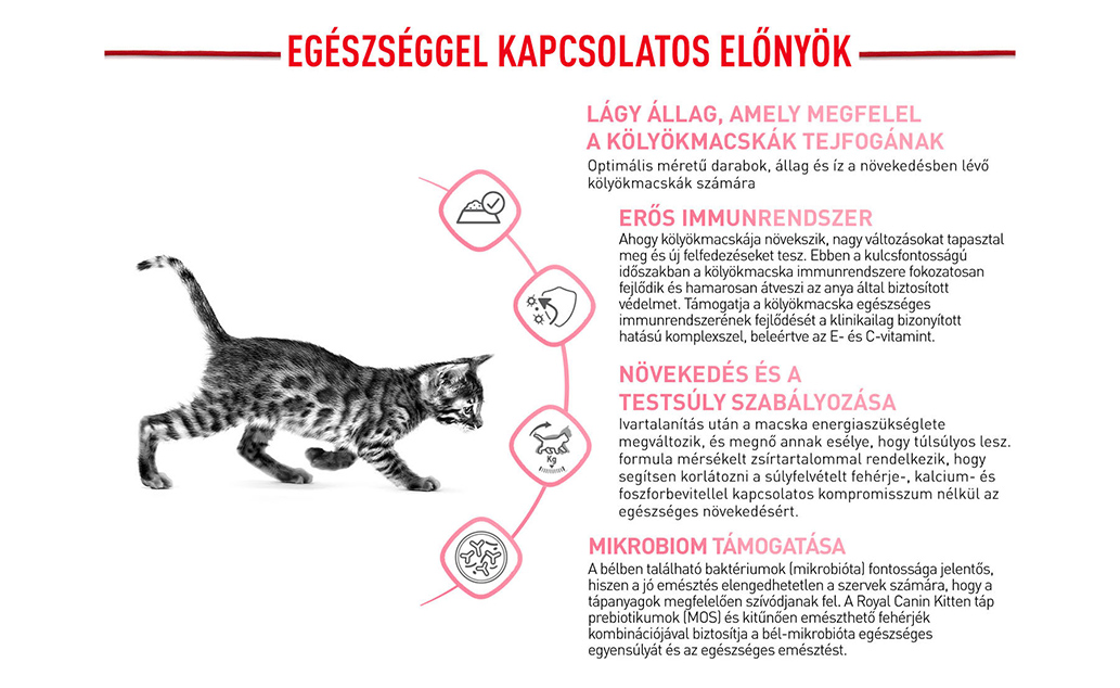 royal canin kitten sterilised