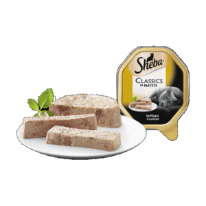 Sheba Adult Alutálcás - Szárnyas pástétom (85g)