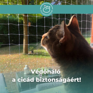 macskaháló védőháló háló teraszra