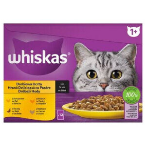 Whiskas Poultry feasts – Nedves eledel (csirke-, pulyka-, kacsa-, baromfi- szószban ) macskák részére (12x85g)