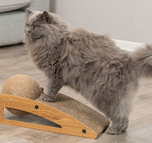 Trixie Scratching ramp with ball - kaparófa (fakerettel, labdával) macskák részére (40x17x20cm)