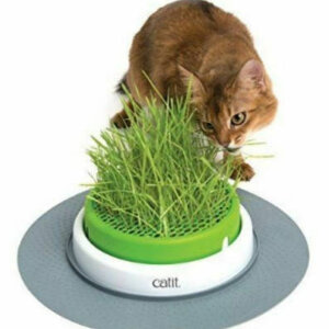 Hagen Catit Senses 2.0 Grass Planter